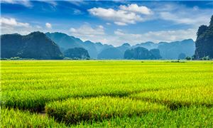 種業(yè)振興計(jì)劃：生物技術(shù)突破保障農(nóng)業(yè)自主權(quán)