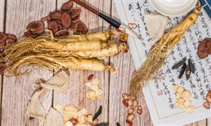 2025年中國中藥熏蒸治療器行業(yè)發(fā)展：產(chǎn)能配置與商業(yè)機遇