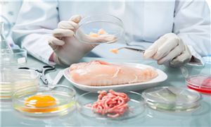 2025年食品安全行業(yè)發(fā)展現(xiàn)狀研究及行業(yè)未來發(fā)展趨勢
