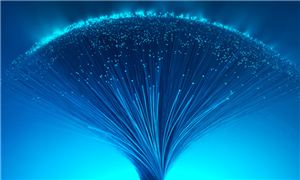 2025年通信電纜行業(yè)發(fā)展現(xiàn)狀調(diào)研及行業(yè)未來發(fā)展趨勢深度分析