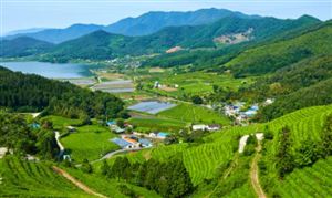廣東國際旅游文化節(jié)