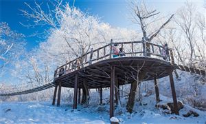 “十五五”期間，吉林省如何用冰雪旅游撬動(dòng)萬(wàn)億級(jí)產(chǎn)業(yè)?