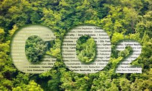 2025年低碳經(jīng)濟(jì)行業(yè)現(xiàn)狀與發(fā)展趨勢分析