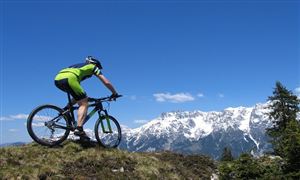 2025年山地單車行業(yè)全景調(diào)研及發(fā)展趨勢預(yù)測