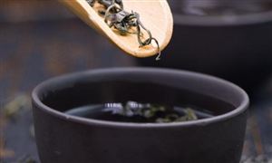 2025茶葉產(chǎn)業(yè)：新消費(fèi)浪潮下的突圍與重構(gòu)
