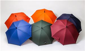2025年自動雨傘行業(yè)市場全景調(diào)研及投資價值評估研究分析