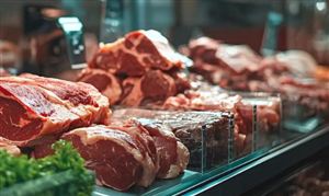 2025年中國(guó)進(jìn)口食品行業(yè)深度發(fā)展研究與“十五五”企業(yè)投資戰(zhàn)略規(guī)劃