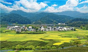 2025年農(nóng)村醫(yī)療行業(yè)發(fā)展現(xiàn)狀研究及市場前景調(diào)研分析