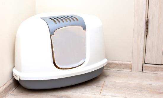 2025貓砂盆行業(yè)發(fā)展現(xiàn)狀及市場(chǎng)規(guī)模、未來發(fā)展趨勢(shì)分析