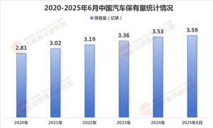 2025年汽車出海全景研究與市場(chǎng)前景預(yù)測(cè)