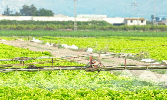 中國(guó)農(nóng)林保水劑行業(yè)發(fā)展現(xiàn)狀分析與未來(lái)展望