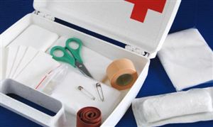 2025年中國創(chuàng)可貼行業(yè)市場(chǎng)全景調(diào)研及發(fā)展趨勢(shì)分析