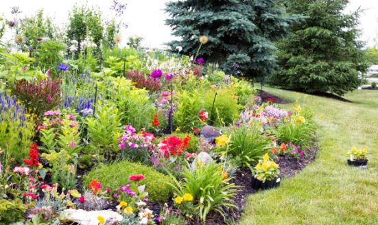 2025年中國園林機械行業(yè)：智能化與綠色化雙輪驅動下的千億賽道