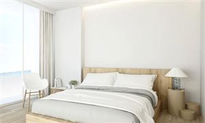 膠囊旅館行業(yè)核心挑戰(zhàn)與痛點(diǎn)分析2025