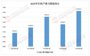 2025-2030年中國生鐵行業(yè)市場：氫冶金技術前瞻與未來工藝路線的投資布局