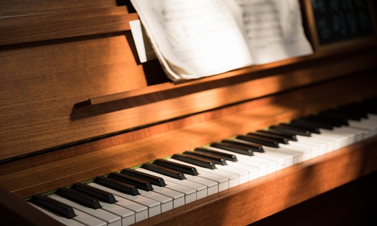 2025年鍵盤類樂器行業(yè)發(fā)展前景預(yù)測(cè)及產(chǎn)業(yè)調(diào)研報(bào)告