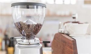 2025年咖啡連鎖行業(yè)風險投資態(tài)勢及投融資策略指引