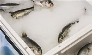 食品冷鏈行業(yè)風險投資態(tài)勢及投融資策略指引（2025）