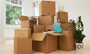 2025年中國(guó)軟包裝產(chǎn)業(yè)園區(qū)發(fā)展規(guī)劃及招商引資咨詢