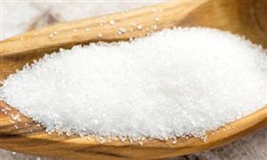 蔗糖行業(yè)現(xiàn)狀洞察與未來趨勢(shì)展望