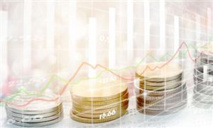 2025年主權(quán)基金行業(yè)發(fā)展現(xiàn)狀調(diào)研及未來趨勢展望分析