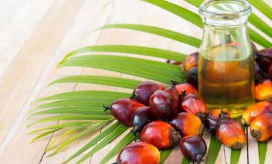 2025年：中國棕櫚油行業(yè)，破局與新生之路