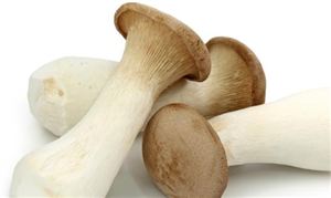 杏鮑菇行業(yè)現(xiàn)狀與發(fā)展趨勢深度分析