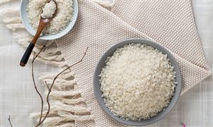 2025年儲米器行業(yè)發(fā)展前景預測及投資戰(zhàn)略研究