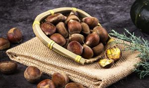 2025年中國板栗市場(chǎng)：從傳統(tǒng)零食到健康消費(fèi)的產(chǎn)業(yè)升級(jí)之路