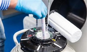 2025年中國(guó)工業(yè)氣體行業(yè)全景調(diào)研與發(fā)展趨勢(shì)分析