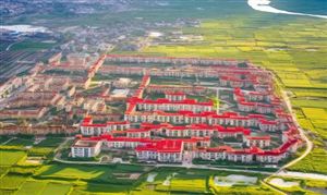 黑龍江省新型農(nóng)業(yè)市場現(xiàn)狀洞察與發(fā)展趨勢(shì)研判