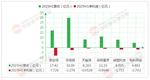 2025年中國網(wǎng)絡(luò)安全行業(yè)全景調(diào)研與發(fā)展趨勢(shì)預(yù)測(cè)分析