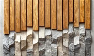 2025中國建筑裝飾材料行業(yè)：從