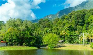 2025年中國主題公園行業(yè)發(fā)展現(xiàn)狀分析與未來趨勢(shì)展望