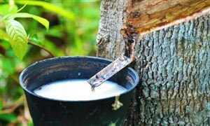 2025年中國橡膠市場深度洞察：“十五五”浪潮下的供需重構與產(chǎn)業(yè)躍遷