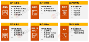 2025年中國冰雪經(jīng)濟行業(yè)深度全景調(diào)研及投資價值研究分析