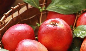 2025農(nóng)產(chǎn)品電商行業(yè)發(fā)展現(xiàn)狀與產(chǎn)業(yè)鏈分析