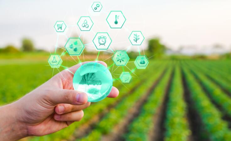 2025AI+智慧農(nóng)業(yè)行業(yè)發(fā)展現(xiàn)狀與產(chǎn)業(yè)鏈分析