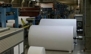 2025年紙漿制造產業(yè)政府戰(zhàn)略管理與區(qū)域發(fā)展研究：綠色轉型下的產業(yè)重構與協同升級