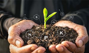 2025-2030年中國(guó)農(nóng)業(yè)服務(wù)行業(yè)投資熱點(diǎn)與趨勢(shì)前瞻