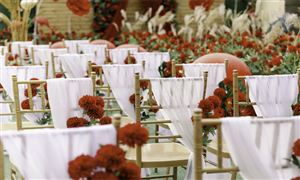 2025-2030中國婚慶服務(wù)行業(yè)市場細(xì)分趨勢與品牌化投資掘金地圖