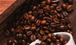 2025年中國咖啡豆行業(yè)市場競爭格局分析及未來發(fā)展投資價值趨勢預測，產業(yè)成熟期