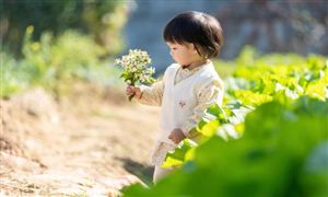 2025中國(guó)兒童鈣片市場(chǎng)：從“藥房柜臺(tái)”到“全場(chǎng)景滲透”