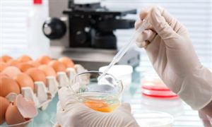 2025年中國食品科技行業(yè)發(fā)展環(huán)境與現(xiàn)狀分析