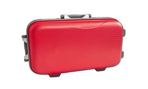 2025年旅行箱行業(yè)市場分析及投資戰(zhàn)略研究