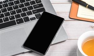 2025年中國手機觸摸屏行業(yè)市場全景調(diào)研及投資價值評估研究