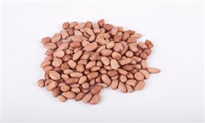 2025年花生行業(yè)市場分析及產(chǎn)業(yè)投資報(bào)告