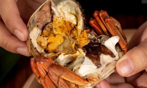 2025年中國(guó)生鮮電商行業(yè)發(fā)展現(xiàn)狀調(diào)研與核心風(fēng)險(xiǎn)分析