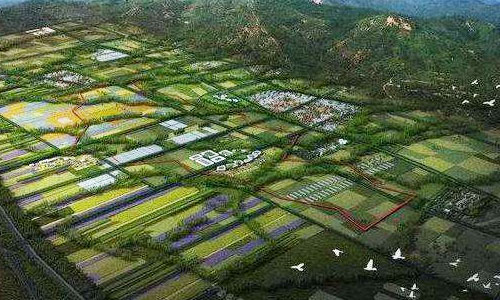 黑龍江國(guó)家級(jí)現(xiàn)代農(nóng)業(yè)示范區(qū)