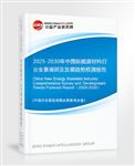 2025-2030年中國(guó)新能源材料行業(yè)全景調(diào)研及發(fā)展趨勢(shì)預(yù)測(cè)報(bào)告